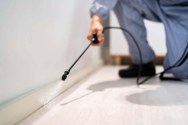 Licensed Cockroach Control service in Morgandale, OH - Nex Pest Control