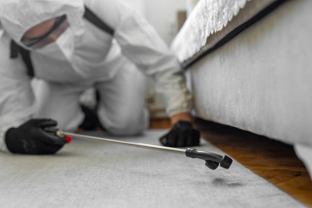 Professional Cockroach Control technician working in Morgandale, OH