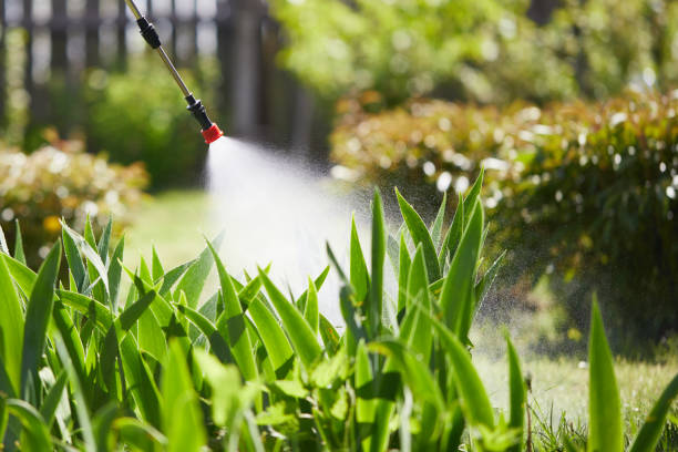 24/7 Emergency Cockroach Control experts in Morgandale, OH